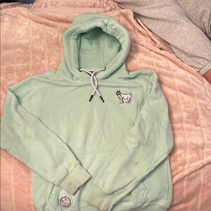 Mint Green Hoodie with Embroidered Design